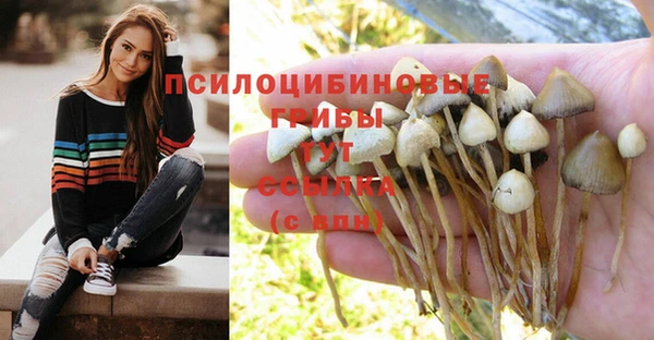 Альфа ПВП Абдулино