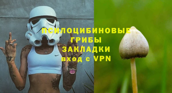 тгк Абинск